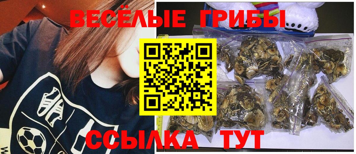 Жуковский  Галлюциногенные грибы Magic Shrooms  Вход с VPN 