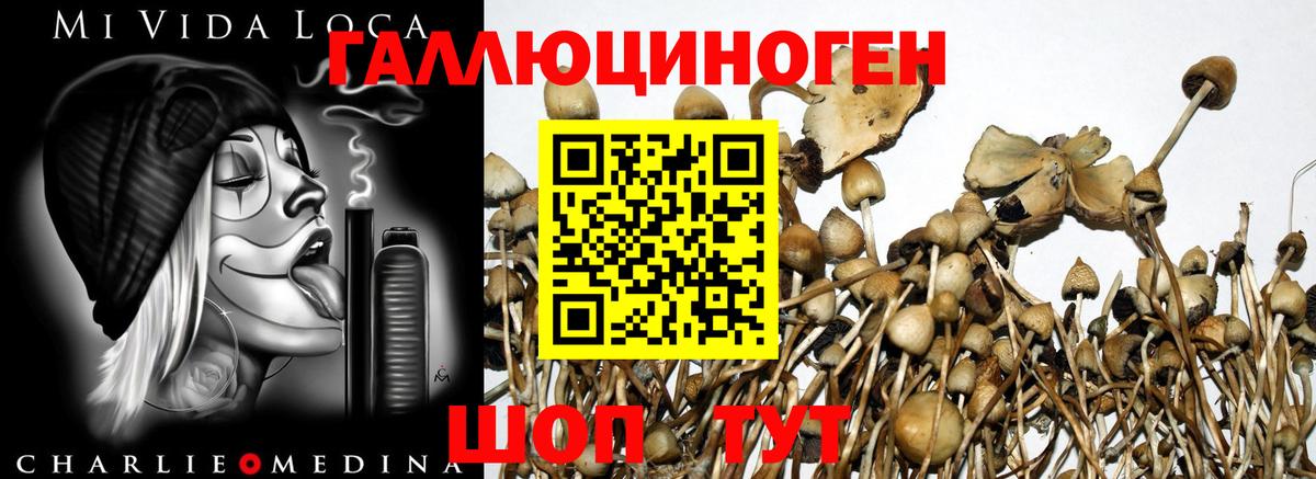 Галлюциногенные грибы ЛСД Жуковский
